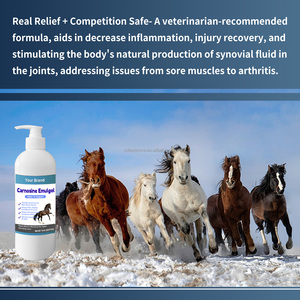 Gel émulsion de carnosine et sulfate de magnésium pour chevaux, recommandé par les vétérinaires, apaisant les articulations, réduisant l'inflammation, sûr et personnalisable - Product Image 2