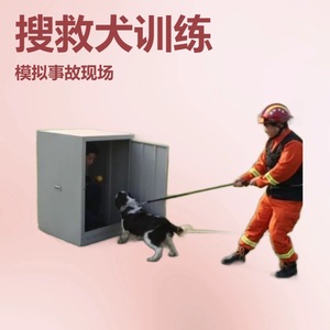 Caja de búsqueda de material de hierro blanco para perros de rescate, 1 volumen, equipo de entrenamiento de agilidad, Heart-to-Heart Dog Supplies - Product Image 2