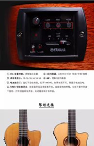 Yamahas NTX1 40 Zoll Apx Zylinder Typ Crossover All Veneer Nylon Saite E-Box Gitarre Log Light Klassische Gitarre - Product Image 6