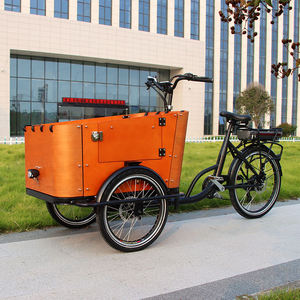 Triciclo Eléctrico de Carga de Grado Comercial para el Transporte de Niños, Cumple con las Normas de la UE, para Servicios de Entrega y Desplazamientos Urbanos - Product Image 1