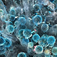 Fleurs et plantes préservées 20-25 têtes Fleurs séchées préservées Blue Planet Fleurs naturelles pour la maison ou la Saint-Valentin