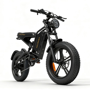 BR Warehouse New Arrival IKINGI S6 PRO Full Suspension High Speed Fat Tire Electric Mountain Bike - Product Image 1