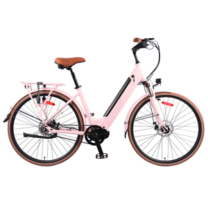 Bicicleta <span class=keywords><strong>de</strong></span> montaña eléctrica personalizada más <span class=keywords><strong>barata</strong></span> al por mayor bicicleta <span class=keywords><strong>de</strong></span> motor <span class=keywords><strong>de</strong></span> tracción media 250W bicicleta <span class=keywords><strong>de</strong></span> compras <span class=keywords><strong>de</strong></span> ciudad ebike para damas - Product Image 1