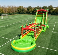 Toboggan aquatique gonflable avec parcours d'obstacles en PVC, jouet de grande taille, portable, parc d'attractions extérieur, Dacheng Dc--14, 100-500 kg, 5-10 ans