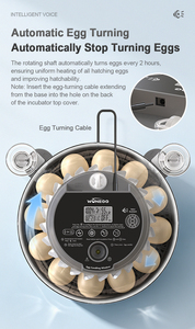WONEGG Nueva Tendencia Incubadora de Huevos Mini con Control por Voz <span class=keywords><strong>Howard</strong></span> 12, Incubadora Automática para Pollos - Product Image 5