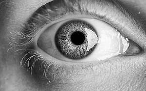 Cámara médica de 2MP, cámara infrarroja médica con USB para tiro de Iris - Product Image 4