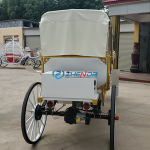 High Quality Cheap Sightseeing Horse Carriage Electric Wedding Travel Carriage Tourism Natural Carriage Special Transportation - Product Image 5