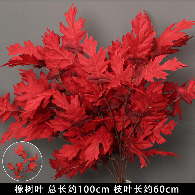 Red oak leaves/stems