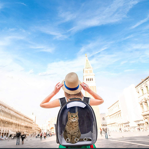 Pet Products Accessories Supply Travel Transparent Pet Bag Airplane <b>Backpack</b> Dog Carrier - Product Image 1