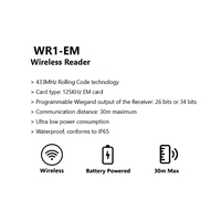 Lector RFID Inalámbrico 125Khz para Tarjetas EM/13.56Mhz, Sistema de Control de Acceso para Exteriores WR1
