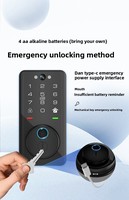 Système de verrouillage de porte en alliage d'aluminium Tuya WiFi avec caméra 100 capacité d'empreintes digitales porte en bois Compatible pour les hôtels