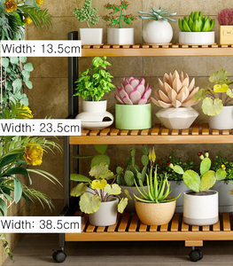 Nhà máy trong nhà đứng, giá cao, tổ chức chậu hoa, Kệ ngoài trời cho nhiều S, vườn - Product Image 6