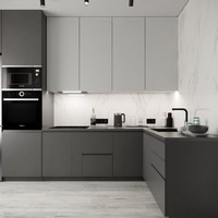 Armoires de cuisine en laque chic avec une esthétique moderne et une forte efficacité spatiale pour la cuisine