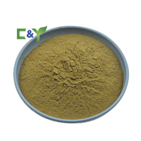Extrait de ginseng rouge en poudre en gros, herbe traditionnelle chinoise, extrait de ginseng, complément alimentaire à base de ginseng