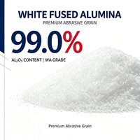 Alumine blanche fondue, norme WA, poudre fine d'alumine à 99 % pour peintures et revêtements anti-usure
