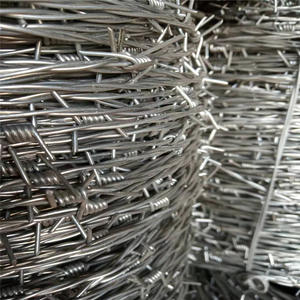 Harga pabrik kawat berduri putar terbalik, untuk pagar 500m Per gulungan bahan baja <span class=keywords><strong>Malaysia</strong></span> - Product Image 5