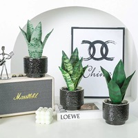 Plante verte artificielle de simulation, Orchidée tigrée avec pot en céramique, Bonsaï artificiel moderne et simple, Plantes vertes de bureau