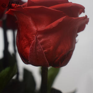 แก้วทรงโดมขนาด30*60ซม. งานตามสั่งใหม่ทำจากดอกกุหลาบในแก้วขนาดยักษ์ที่มีคุณภาพสูงปรับปรุงบ้านของขวัญครบรอบ - Product Image 4