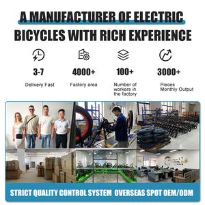 Bicicleta Plegable KETELES OEM de Fábrica al por Mayor, 20 Pulgadas, Neumático Grueso, Batería Extraíble, Motor sin Escobillas KF9 de 250W, Accionamiento Suave - Product Image 6