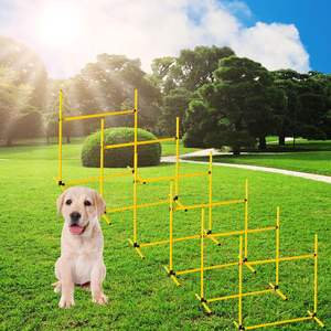 Equipo de entrenamiento para mascotas, equipo de entrenamiento de agilidad para perros, resistente al agua, último diseño - Product Image 5