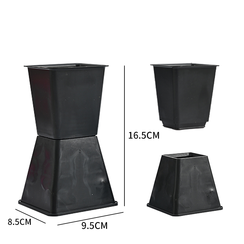 negro03