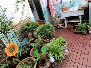 Azulejos de cubierta de patio compuestos de madera y plástico, azulejos de cubierta entrelazados DIY - Product Image 5