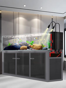 2026 חדש סִגְנוֹן סטרים צילינדר מסנן תחתון צדדי גלישה אקווריום אקווריום סלון זכוכית אולטרה לבנה אקו נוף גדול - Product Image 5