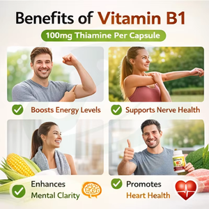 OEM 大人用ビタミンB1カプセル 100mg チアミン 60カプセル 毎日摂取 エネルギー代謝、神経の健康、精神的明晰さをサポート - Product Image 4