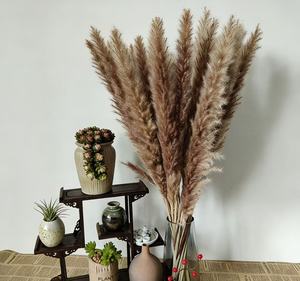 Hierba de Pampas Seca Natural Blanca y Gris para Decoración de Bodas y Navidad, Ecológica, para el Año Nuevo Chino, <span class=keywords><strong>Cortaderia</strong></span> - Product Image 3