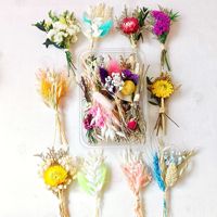 Boho Set Mini Bouquet de Fleurs Séchées Naturelles Fleurs Préservées pour la Table Décoration de Mariage Boîte aux Lettres Cadeaux