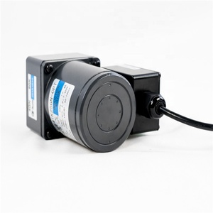 Moteur à engrenages AC pour chaudière à biomasse bois, moteurs à induction AC 25W 80mm 100V 110V 220V 230V - Product Image 4