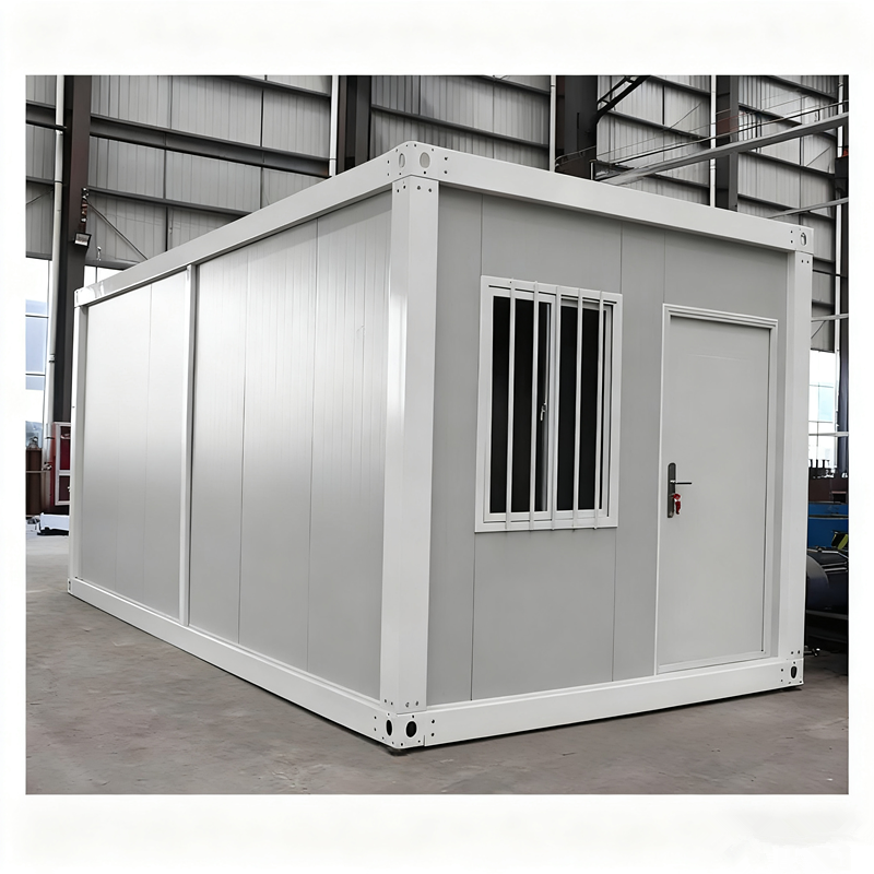 Factory Customized Pointed Roof Container House