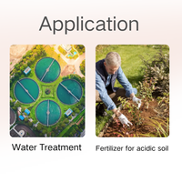 Sulfate d'aluminium anhydre 16-17% Al2O3 pour le traitement de l'eau et la régulation du pH du sol, sacs de 25 kg et 1000 kg, usine d'exportation