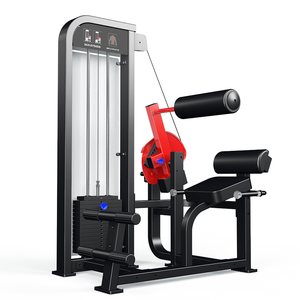 Machine d'extension dorsale commerciale <span class=keywords><strong>Yongwang</strong></span> - Équipement de gym écologique à cadre en acier robuste pour l'entraînement de force - Product Image 3