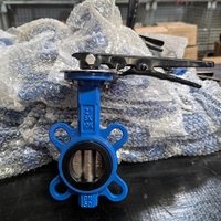 Vanne papillon à joint souple de type gaufre, en fonte ductile, avec mécanisme de verrouillage manuel, de haute qualité et la plus vendue, pour applications hydrauliques