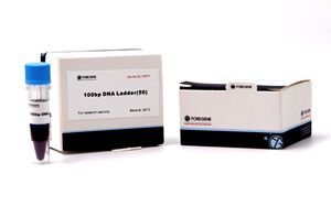 Kits de réactifs biologiques moléculaires Molécules Marqueur de poids Marqueur d'ADN Échelle d'ADN 700 bp - Product Image 4