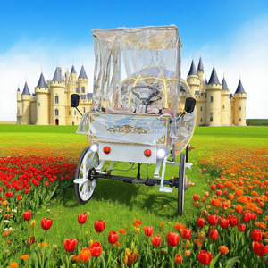Carruaje de Entrada para Novia, Eléctrico, Blanco, Estilo Cenicienta, con Carroza de Caballos y Calabazas, Capacidad para 4-6 Personas, Material de Alta Resistencia - Product Image 3