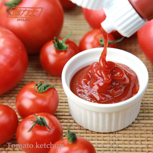 Ketchup de tomate naturel le plus vendu pour tremper les saucisses, les frites au barbecue, les hamburgers, sauce avec emballage en sachet ou en boîte - Product Image 6
