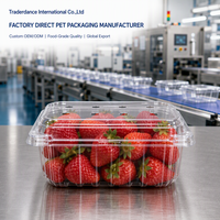 Conteneur alimentaire articulé en PET transparent recyclable, prix usine, 250 ml, 500 ml, pour boîte à salade de supermarché