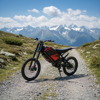 Moto tout-terrain électrique personnalisée pour adultes - Vélo de montagne puissant à grande vitesse 72V pour l'aventure