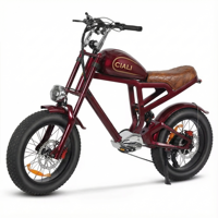 Sepeda Listrik Xili Sports 48v 750w 19.2ah Gaya Vintage Chopper Ebike Urban Retro