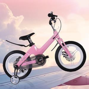 Bicicleta de magnesio de alta calidad <span class=keywords><strong>para</strong></span> niños, pintura líquida, OEM, bicicleta de 12, 16 y 20 pulgadas - Product Image 3