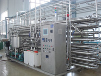 Stérilisateur/Pasteurisateur tubulaire UHT en acier inoxydable 304/316L, 121°C, qualité alimentaire, résistant à la corrosion, conforme HACCP pour lait et jus