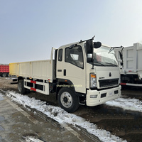 Chinois 2023 nouveau Offre Spéciale Sinotruk Howo nouveau van camion 4x2 mini 3-5 tonnes petit camion de fret léger