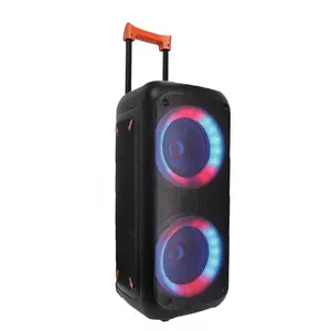 Popular suppliers Trolley Portable Camping Speaker, professional Blue tooth 5.0 with microphone LED speakers with guitar input