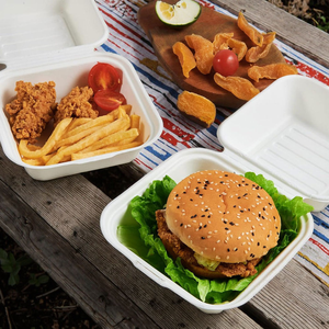 Eco Friendly Disposable Sugarcane Bagasse Food <b>Container</b> Compostable <b>Takeaway</b> Box for Party Fast Food Catering - Product Image 5