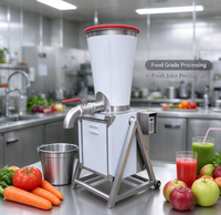 Commerciële multifunctionele automatische sinaasappel-appel-wortel-groente-fruit sapcentrifuge en -molen