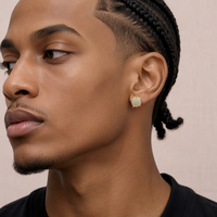 Boucles d'oreilles tendance en zircon cubique, clous ronds, bijoux hip-hop, or et argent, vente en gros, unisexe