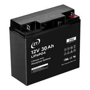 Battery Lithium 12 Voltages 38ah 63ah 12V Lifepo4 12Volt With BMS