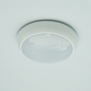 Sufrace gắn WM-26 chống bụi IP65 LED vách ngăn khẩn cấp Vòng trần downlight cho cháy khẩn cấp - Product Image 5